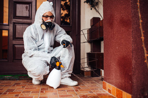 Reliable Ant Control contractor in Whitmire, SC by Show Me Pest Control